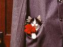 Chats_091