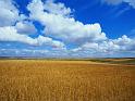 Windows-Vista_01