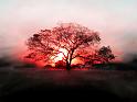 Windows-Vista_18
