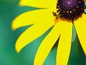 Windows-Vista_30