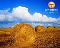 Windows-Vista_39