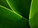Windows-Vista_44