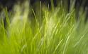 Windows-Vista_47