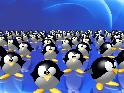 Linux