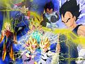 Dragon-Ball-Z_021