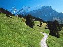 Suisse