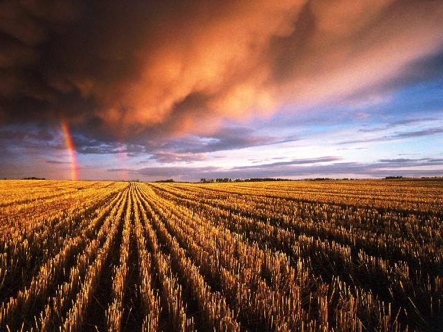 Arc-en-ciel_09.jpg