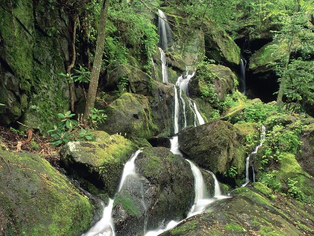 Cascades_02.jpg