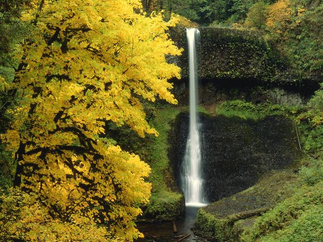 Cascades_06.jpg
