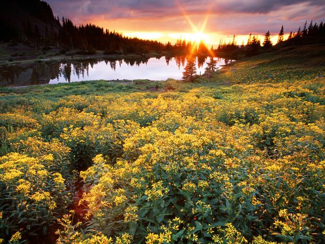 Couche-de-soleil_020.jpg