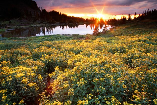 Couche-de-soleil_058.jpg