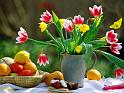 Fleurs_03