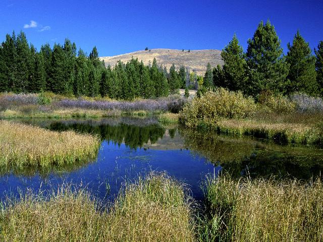Lacs_066.jpg