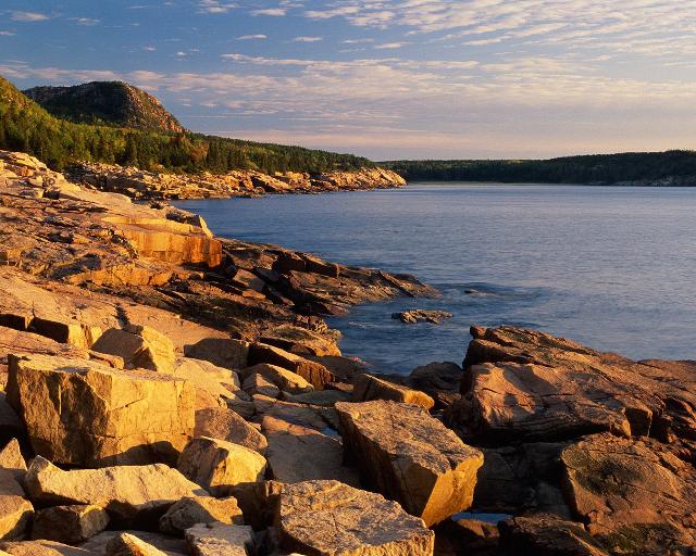 Nature_053.jpg