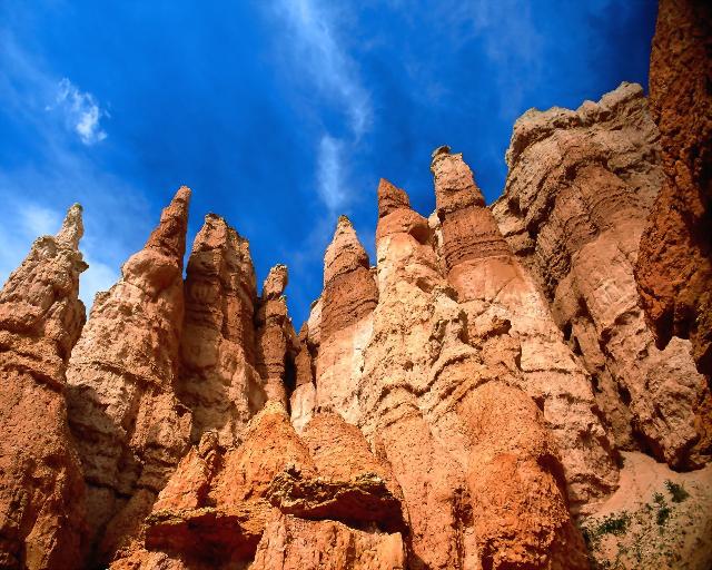 Nature_062.jpg