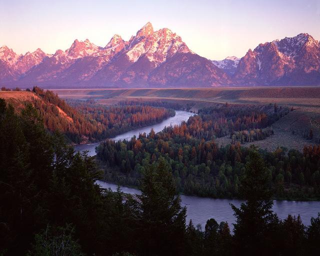Nature_070.jpg