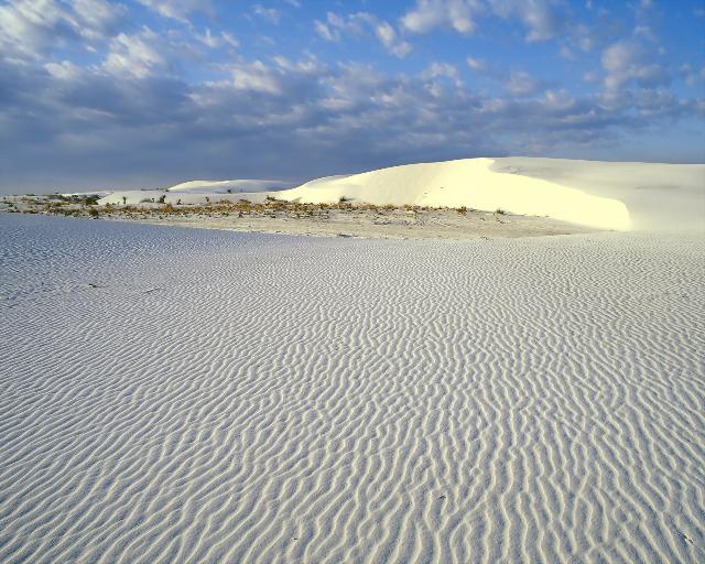 Nature_071.jpg