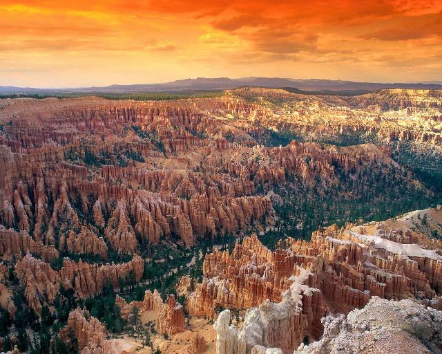 Nature_086.jpg
