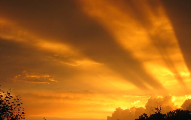 Nature_101.jpg - This image was processed by Neat Image. NeatImage.com