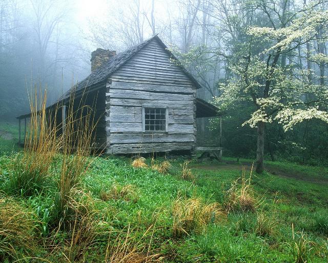 Nature_121.jpg