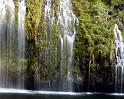 Nature_001