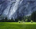 Nature_003