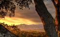 Nature_004