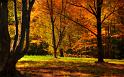 Nature_006