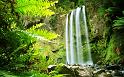 Nature_008