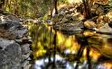Nature_009
