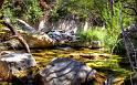 Nature_010