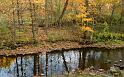 Nature_012
