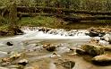 Nature_015
