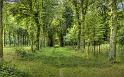 Nature_022