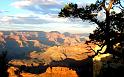 Nature_023