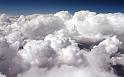 Nature_024