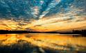 Nature_026