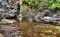 Nature_029