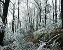 Nature_034