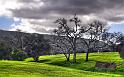 Nature_039
