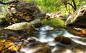 Nature_040