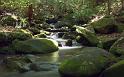 Nature_041
