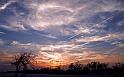 Nature_043