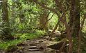 Nature_047