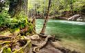 Nature_049