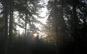 Nature_051