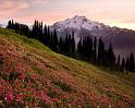 Nature_052