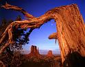 Nature_055