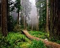 Nature_058