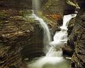 Nature_059